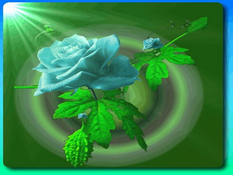 Blue Rose with Green Leaves — Serene