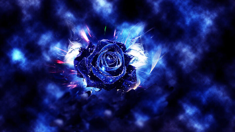 Blue Rose with Light Effects