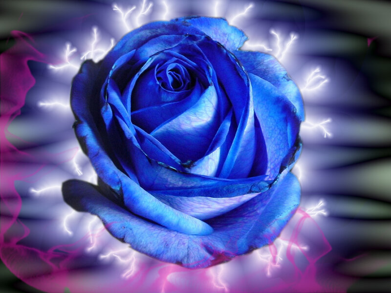 Blue Rose with Lightning