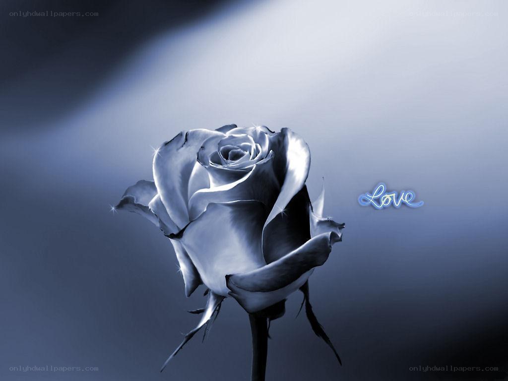 Blue rose with love text