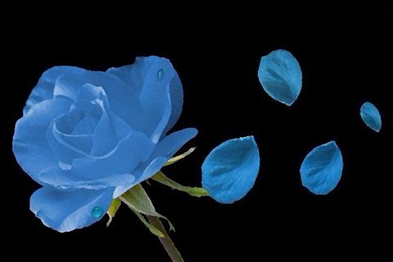 Blue Rose with Petals — Dramatic, Digital Art