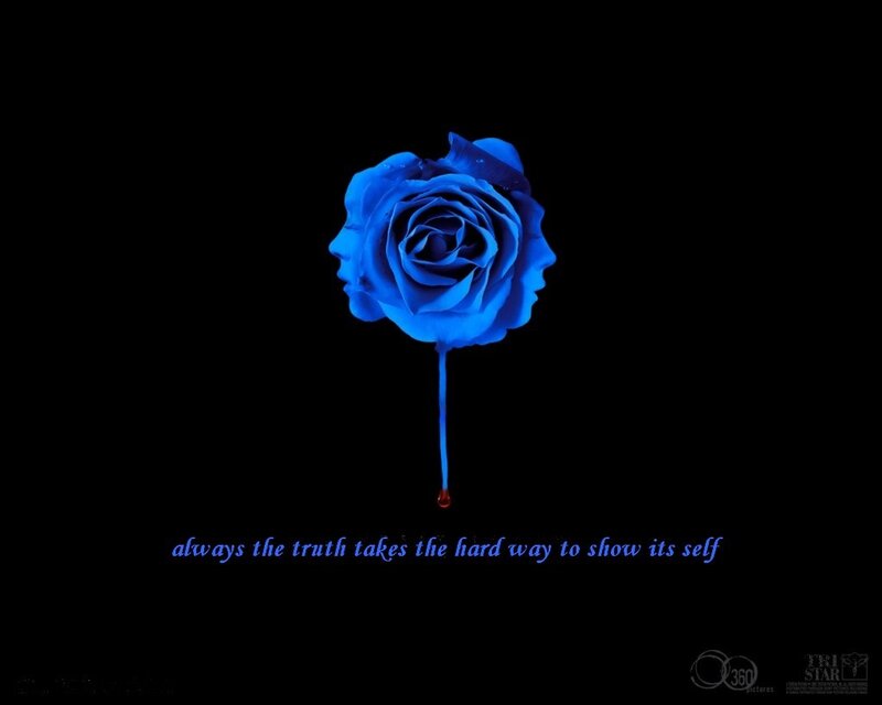 blue rose with quote