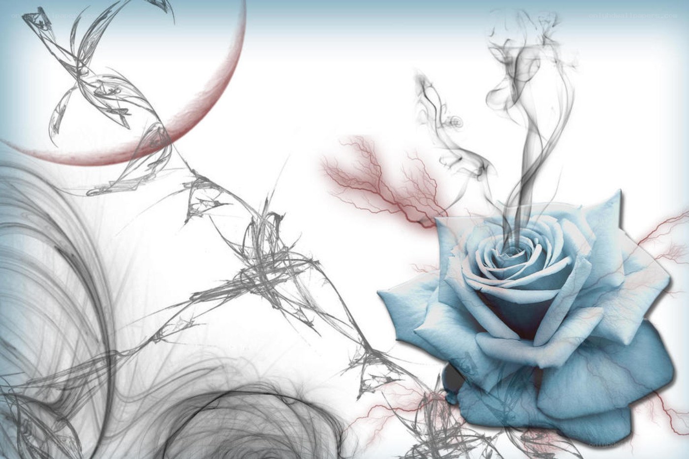 blue rose with smoke and moon