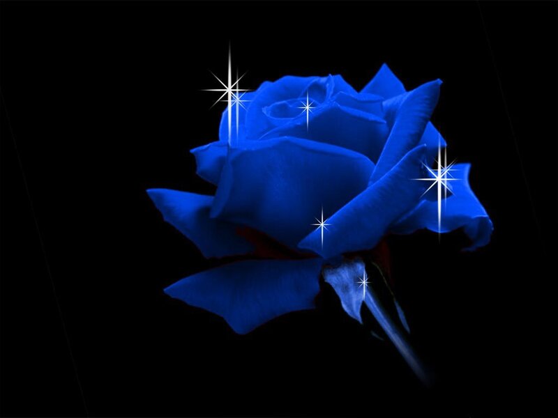 Blue Rose with Sparkles — Dramatic