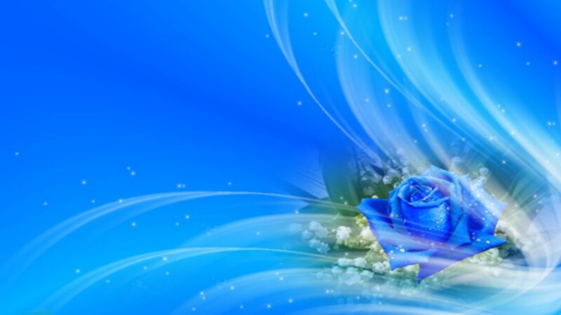 Blue Rose with Sparkles — Serene