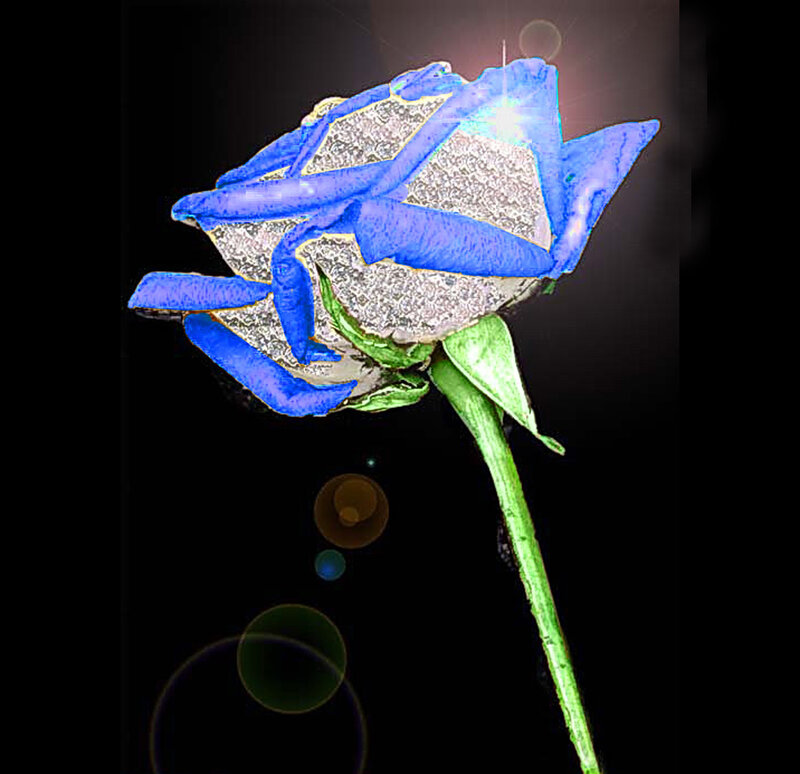 blue rose with sparkles