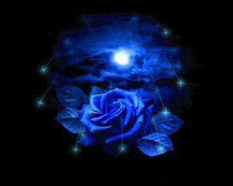 Blue Rose with Stars