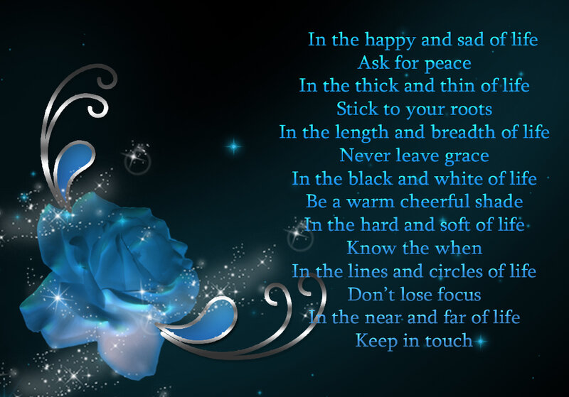 Blue Rose with Text — Serene