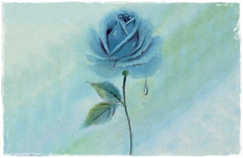 Blue Rose with Water Droplet — Calm