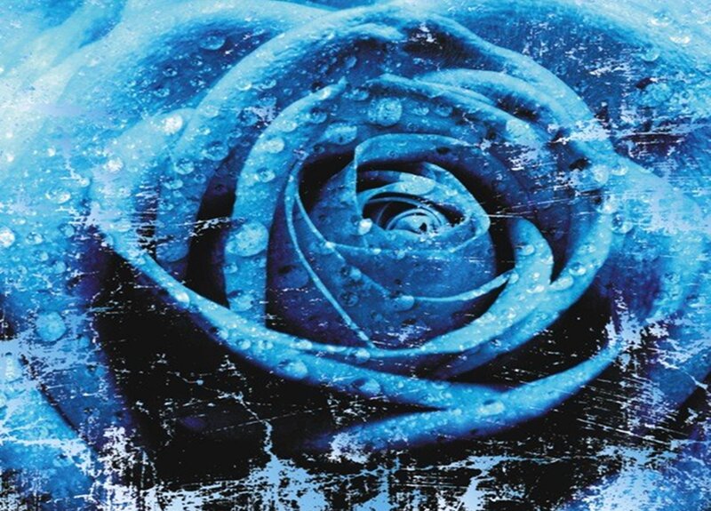 Blue Rose with Water Droplets — Dramatic, Digital Art, Water Droplets, Grunge Texture