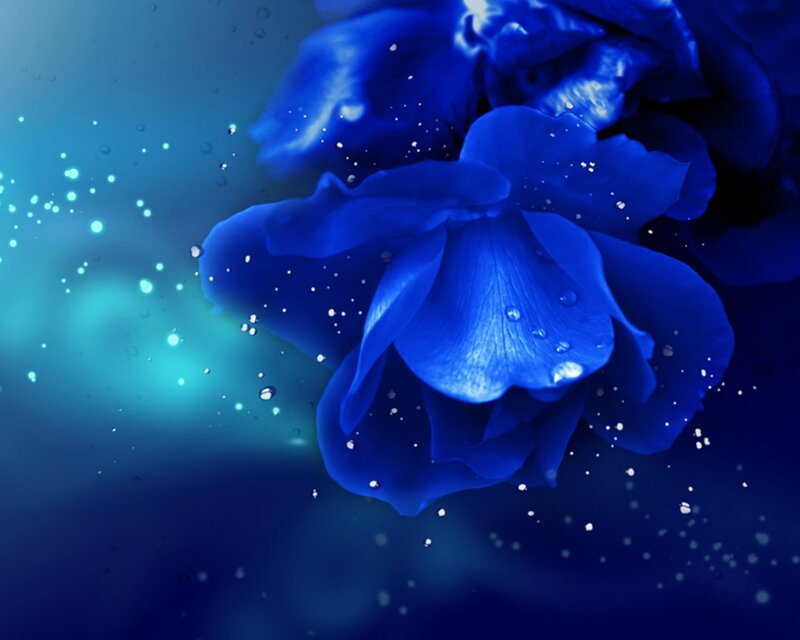 Blue Rose with Water Droplets — Serene, Digital Art, Water Droplets, Sparkles, Background Glow