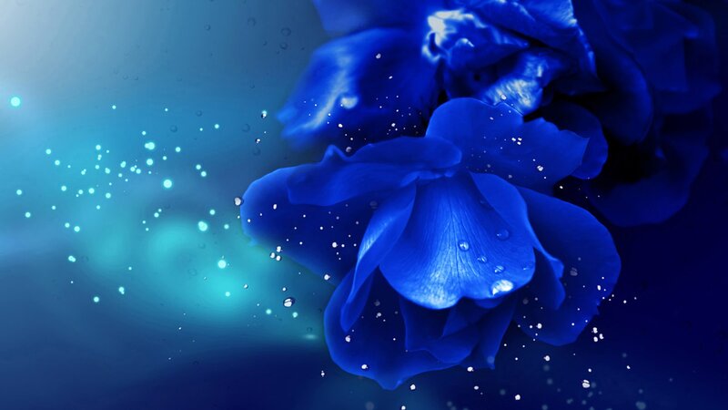 Blue Rose with Water Droplets — Serene, Digital Art, Water Droplets, Sparkles
