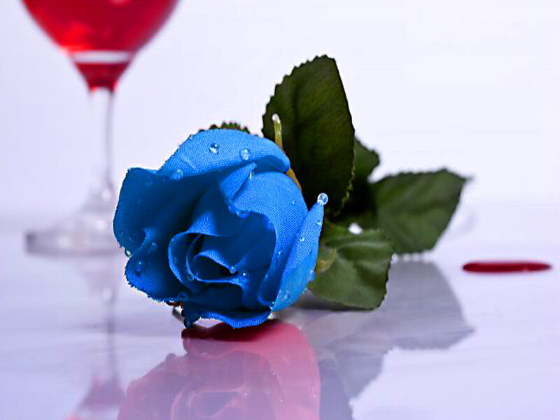 Blue Rose with Water Droplets — Serene, Photograph, Wine Glass