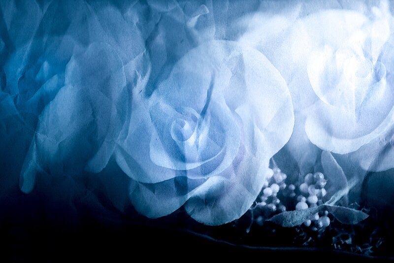 Blue Roses and Berries