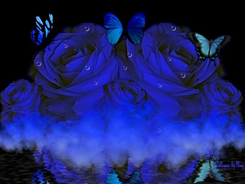 Blue Roses and Butterflies — Serene