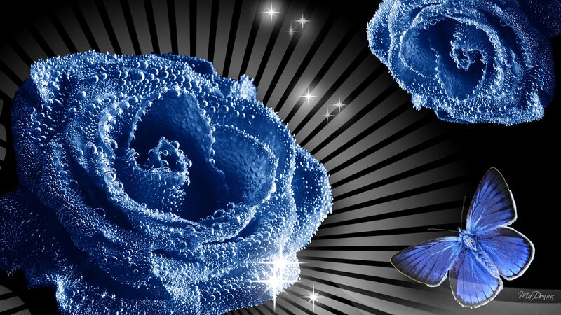 Blue Roses and Butterfly — Dramatic