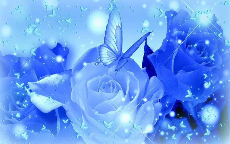 Blue Roses and Butterfly — Dreamy