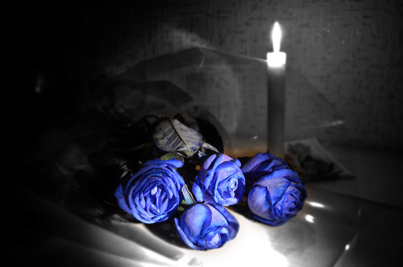 Blue Roses and Candle
