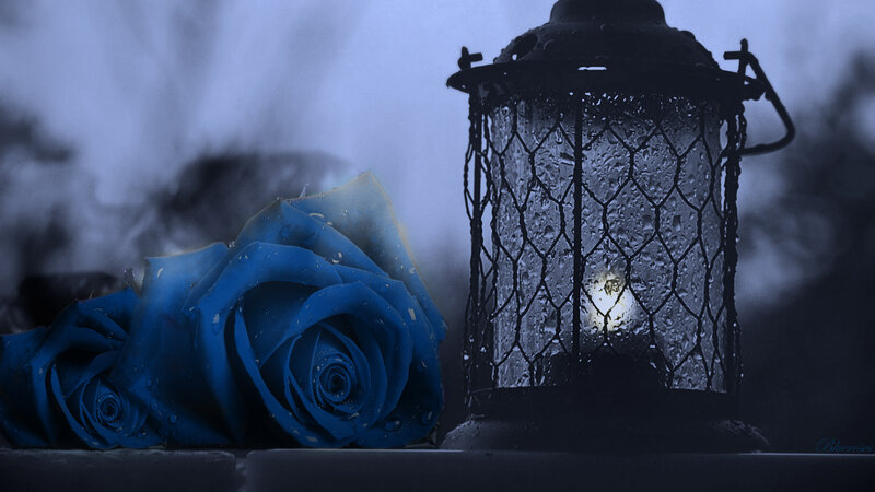 Blue Roses and Lantern