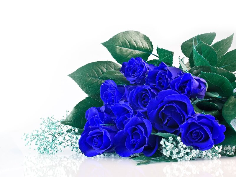 Blue Roses Bouquet — Calm