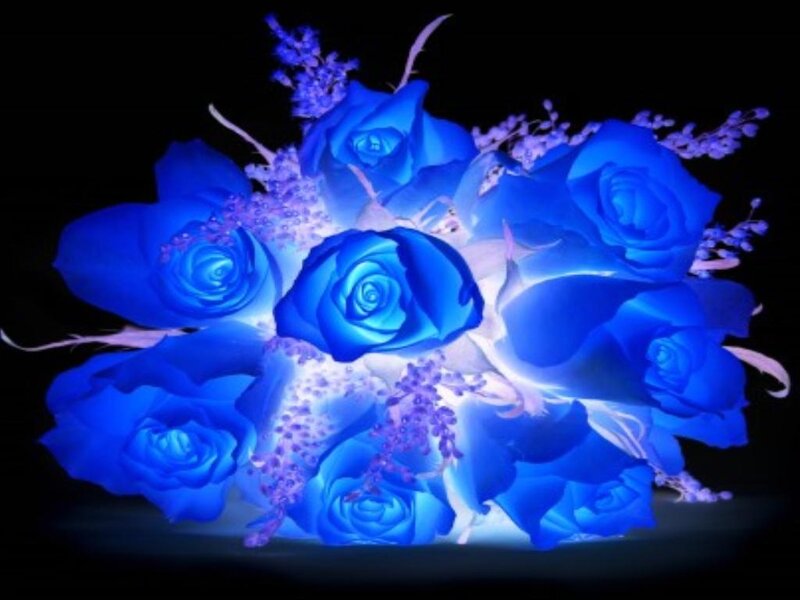 Blue Roses Bouquet — Dramatic