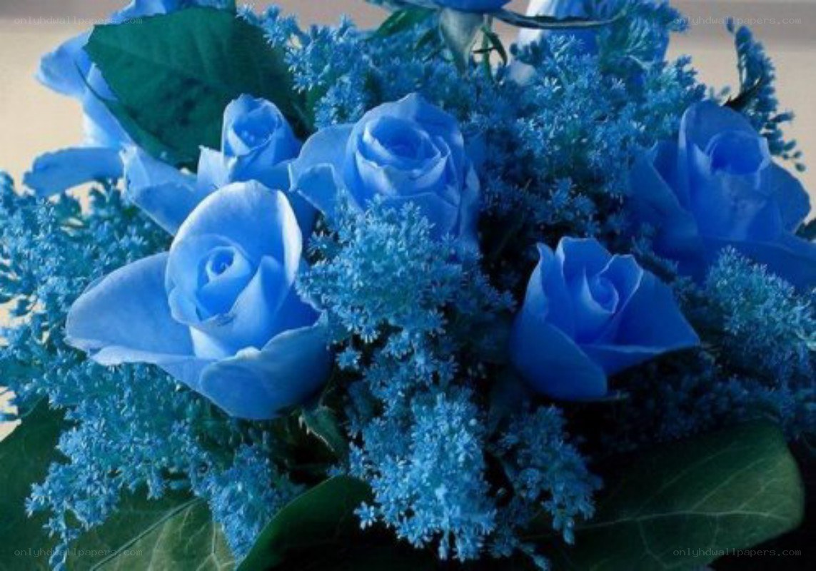 blue roses bouquet