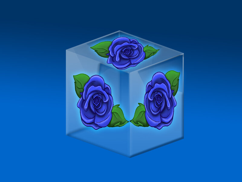Blue Roses in a Cube