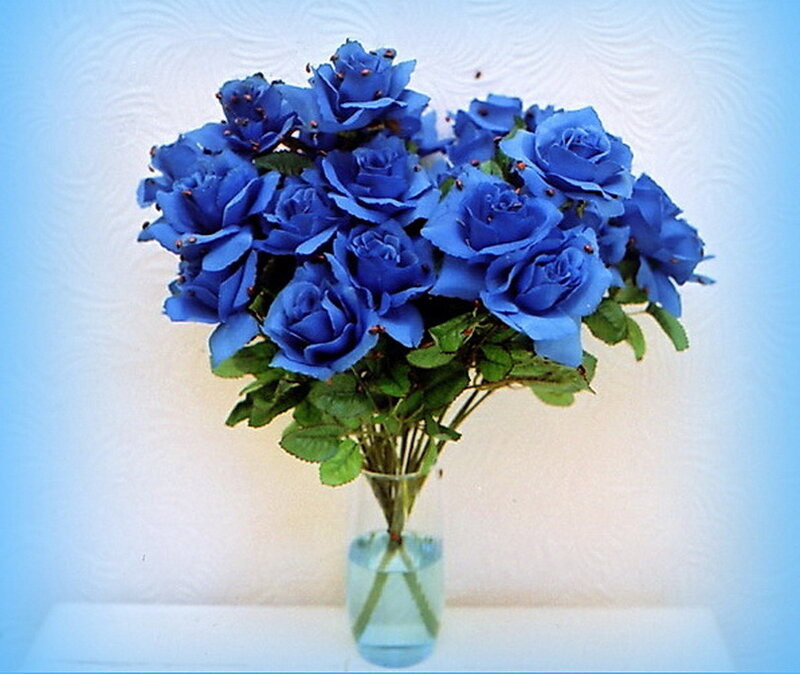 Blue Roses in a Vase — Calm