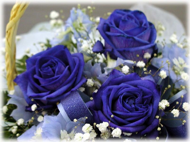 Blue Roses in Bouquet — Purple