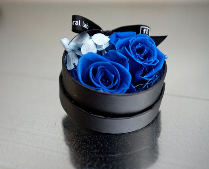 Blue Roses in Box