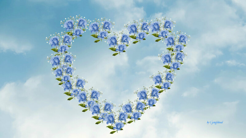 Blue Roses in Heart Shape — Serene