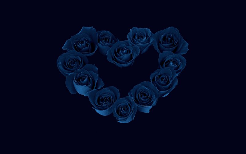 Blue Roses in Heart Shape