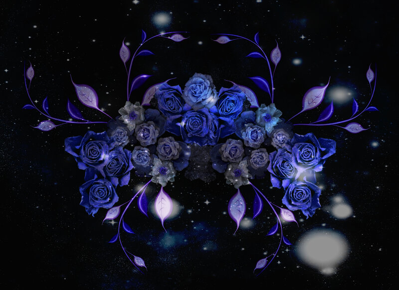 Blue Roses in Space