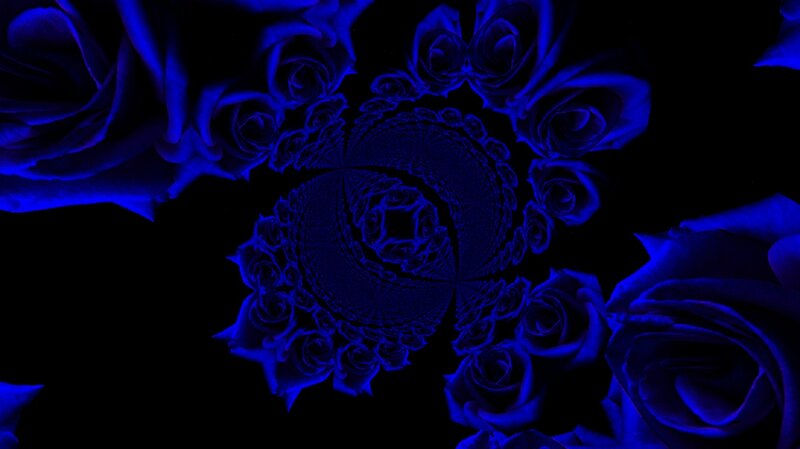 Blue Roses in Spiral — Mysterious