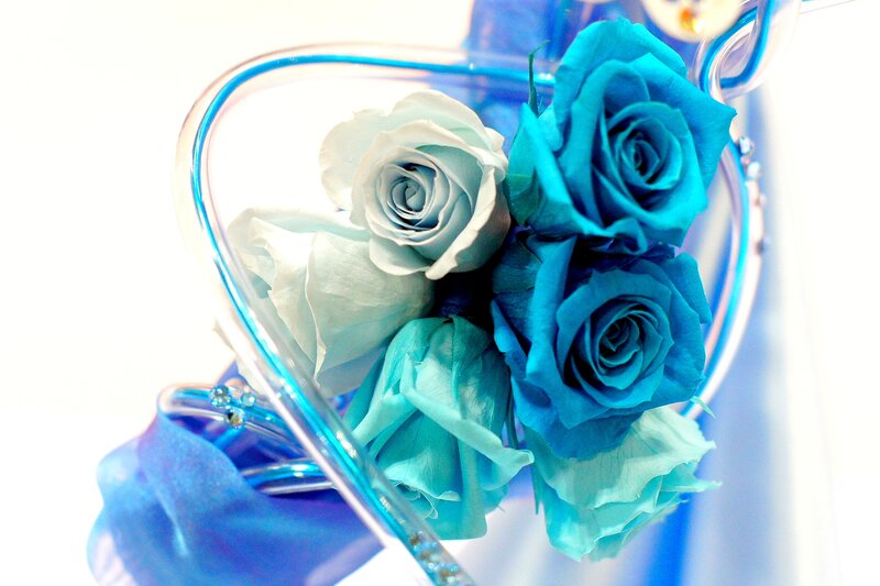Blue Roses in Vase