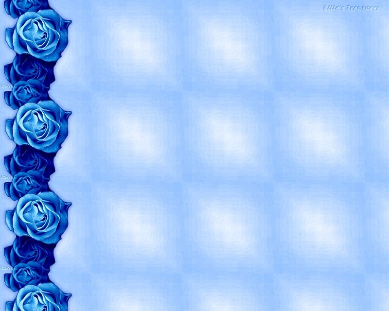 blue roses on blue background