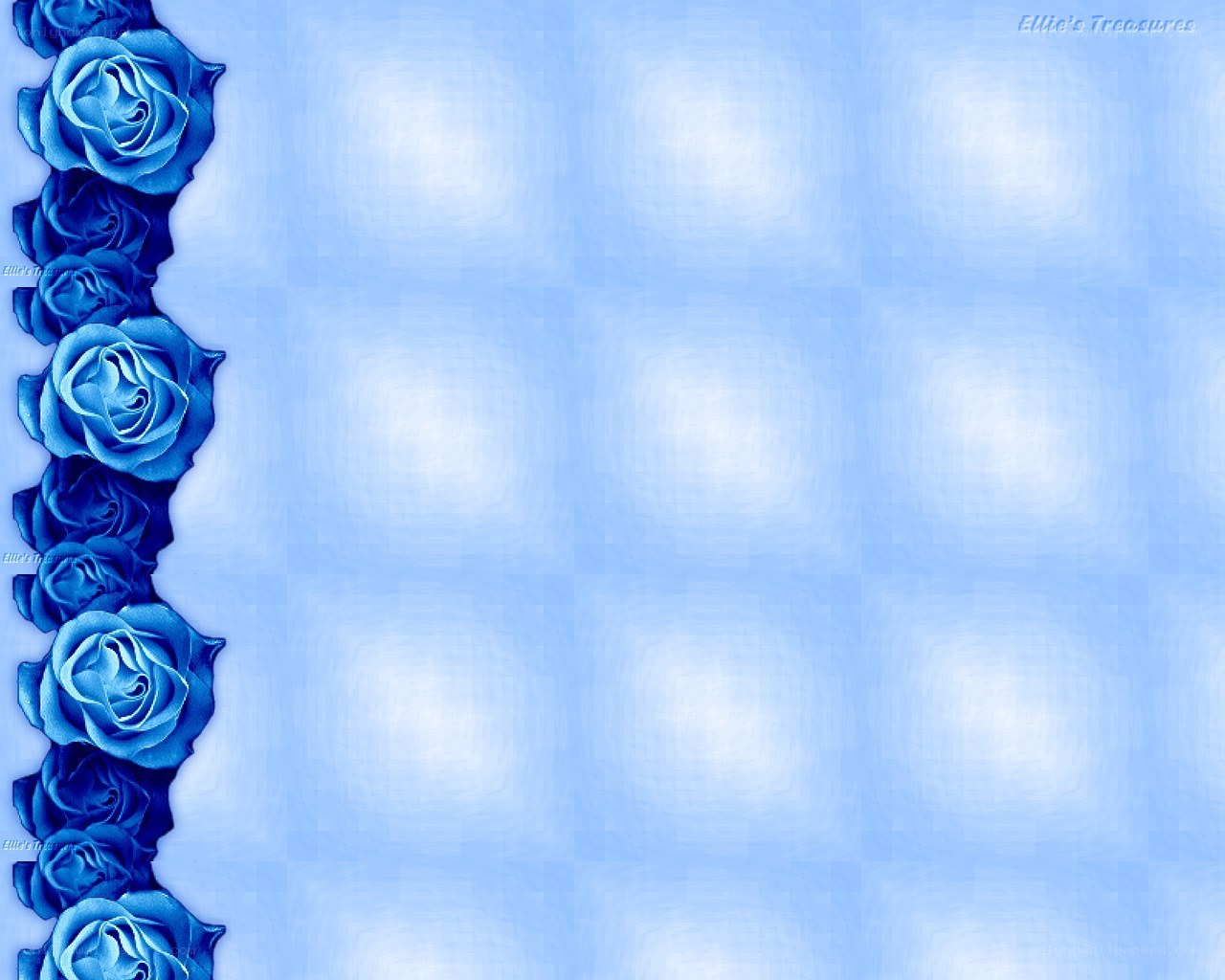 blue roses on blue background