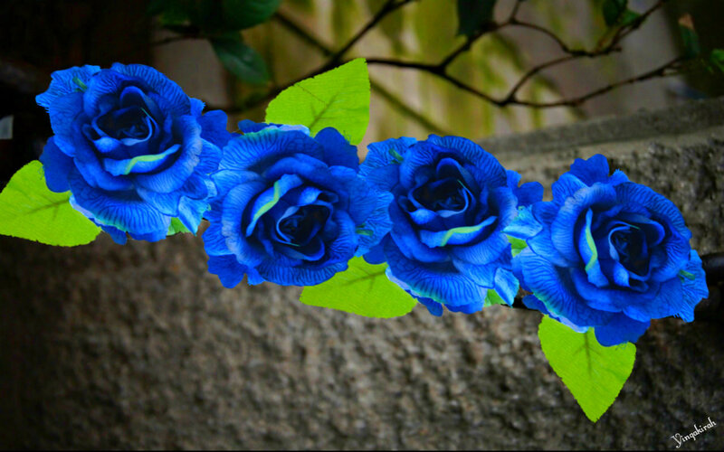 Blue Roses on Branch — Calm