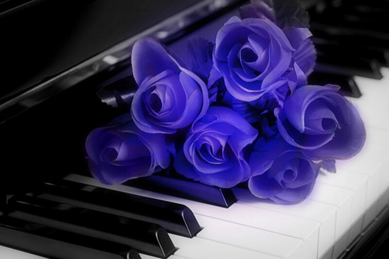 Blue Roses on Piano Keys — Purple