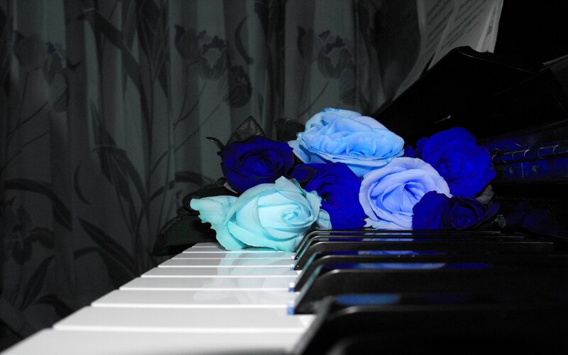 Blue Roses on Piano