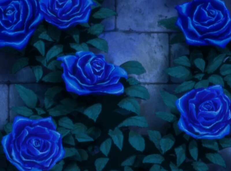 Blue Roses on Wall