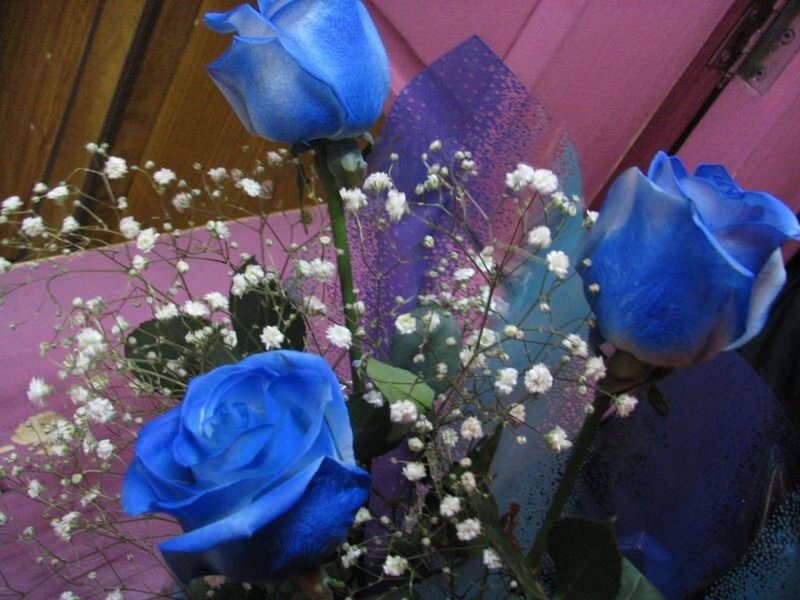 blue roses with baby's breath