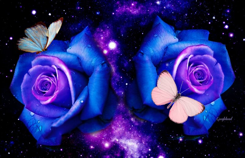 Blue Roses with Butterflies — Purple