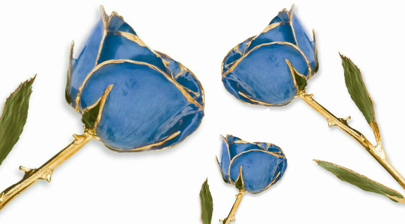 Blue Roses with Gold Stems — Elegant