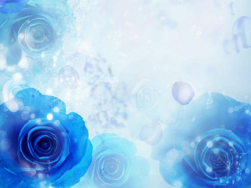 Blue Roses with Petals