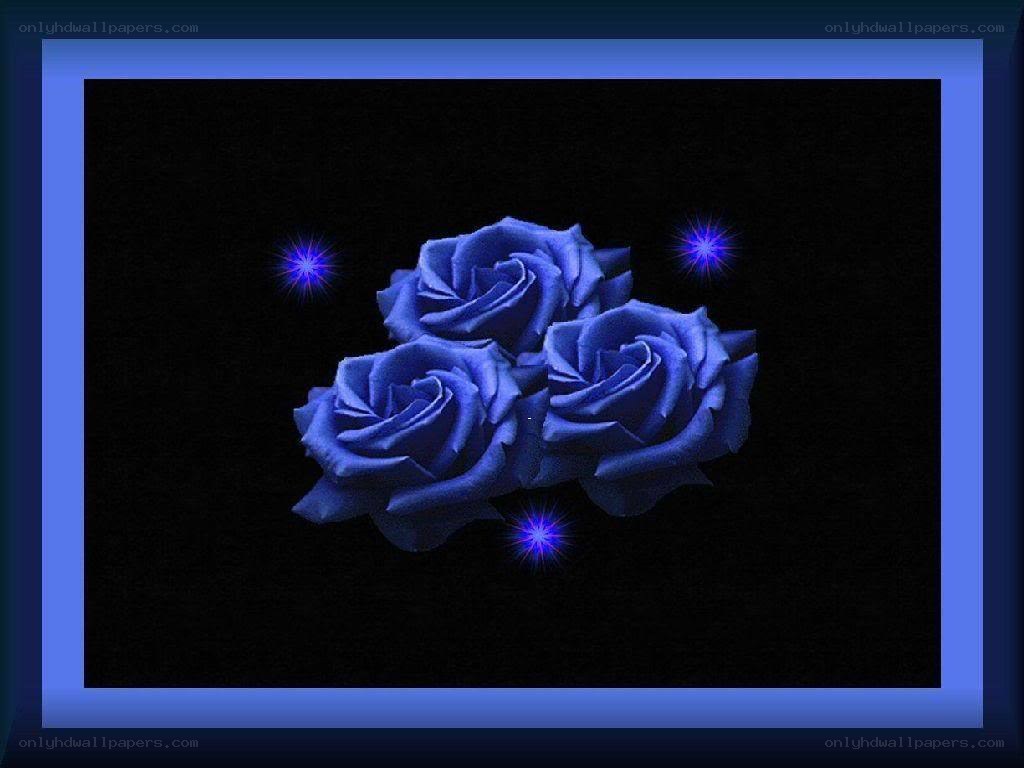 blue roses with sparkles