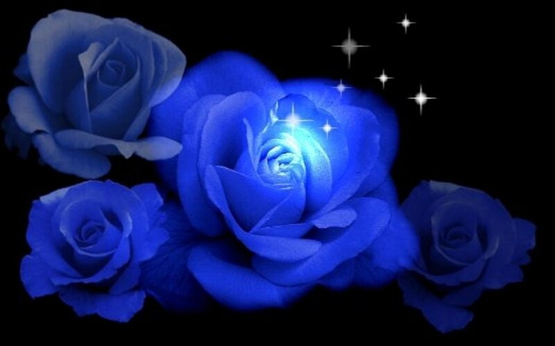 Blue Roses with Stars — Dreamy