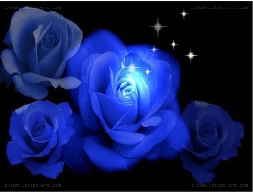 Blue roses with stars