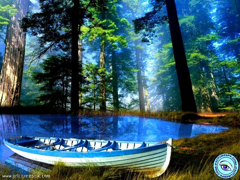 Blue Rowboat in Forest — Serene