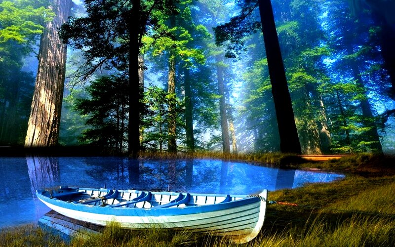 Blue Rowboat in Forest